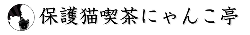 保護猫喫茶にゃんこ亭