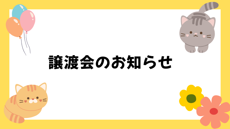 譲渡会のお知らせ